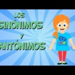 Descubre los Sinónimos de Reforma: Qué es y cómo se aplica