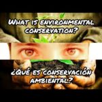 Reparación y Conservación: Todo lo que debes saber